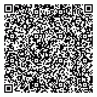 vCard 79611299393