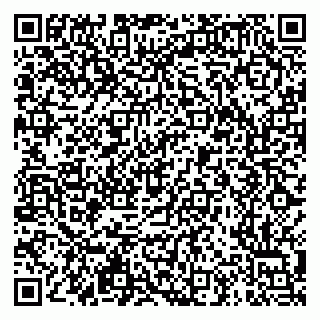 vCard 79611299803