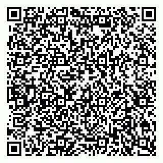 vCard 79611539293