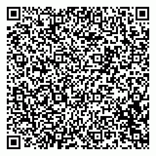 vCard 79611539299