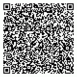 vCard 79611539333