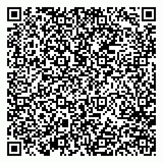 vCard 79613386801