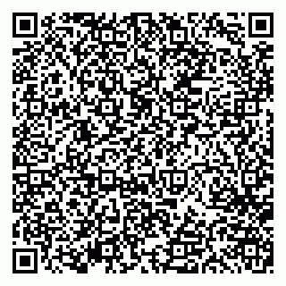 vCard 79613386802