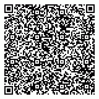 vCard 79613386803