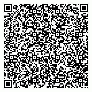 vCard 79613386804
