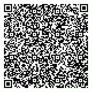 vCard 79613386813