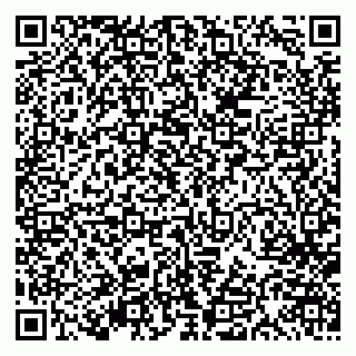 vCard 79613386816