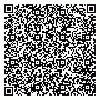vCard 79613386817