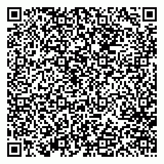 vCard 79613386822