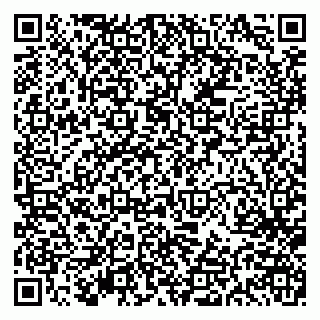 vCard 79613386823