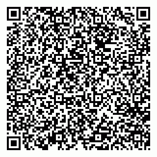 vCard 79613386829
