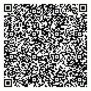 vCard 79613386843