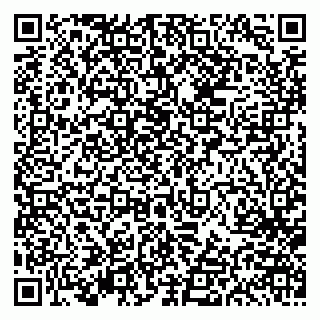 vCard 79613386845