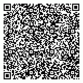 vCard 79613386847
