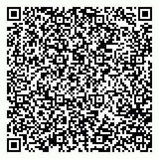 vCard 79613386849