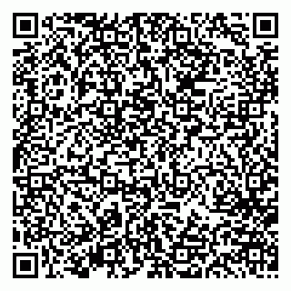 vCard 79613386871