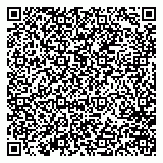 vCard 79613386873