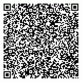 vCard 79613386874