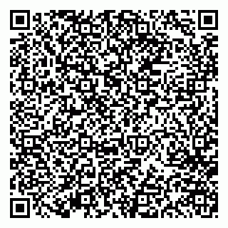 vCard 79613386877