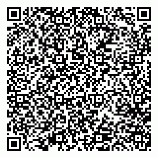 vCard 79613386878