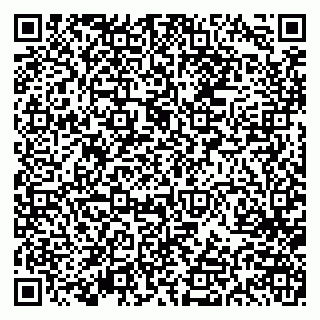 vCard 79613386893