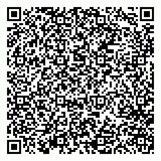 vCard 79613386894