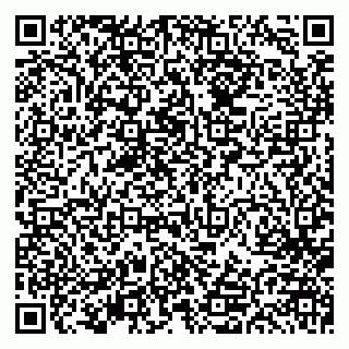 vCard 79613386910