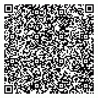 vCard 79613386913