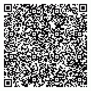 vCard 79613386931