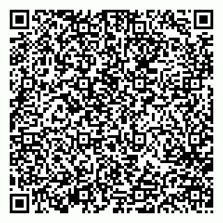 vCard 79613386941