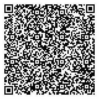 vCard 79613386963