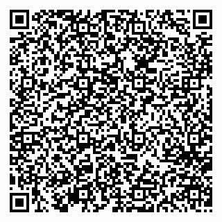 vCard 79613386973