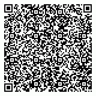 vCard 79613386974