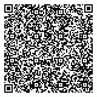 vCard 79613386978
