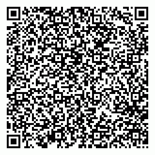 vCard 79613386981