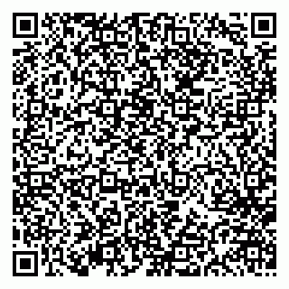 vCard 79613386987