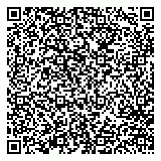 vCard 79613386991