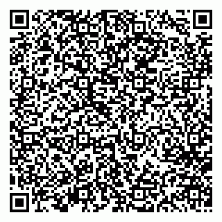 vCard 79613386993