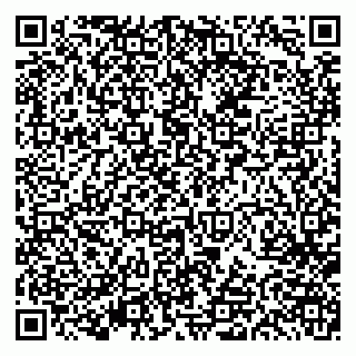 vCard 79613387001