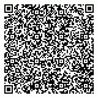 vCard 79613387002