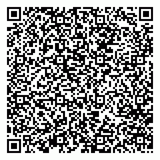 vCard 79613387003