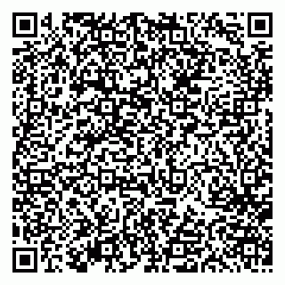vCard 79613387004
