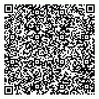 vCard 79613387005