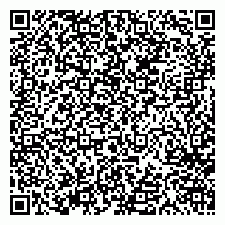 vCard 79613387006