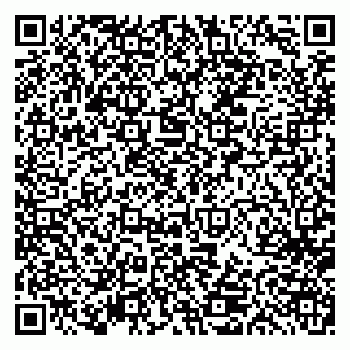 vCard 79613387008