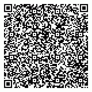 vCard 79613387009