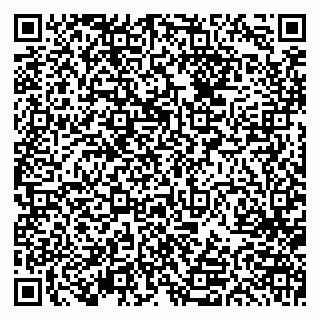 vCard 79613387010