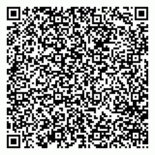 vCard 79613387011