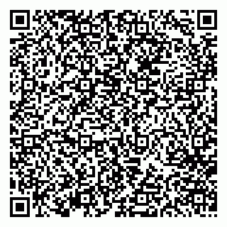 vCard 79613387013
