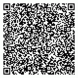 vCard 79613387017